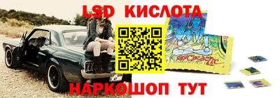 гидропоника Гусев