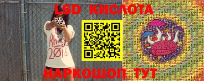 гидропоника Гусев