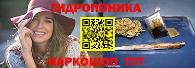 гидропоника Гусев