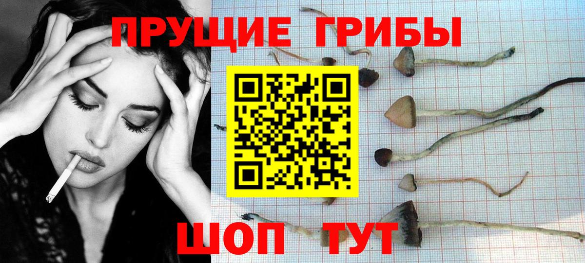 Галлюциногенные грибы ЛСД  дарнет шоп  Лесной  Вход с VPN 