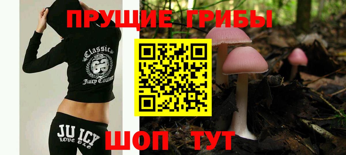 Псилоцибиновые грибы мухоморы Лесной